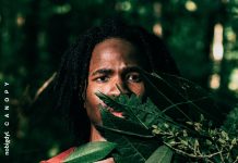 nobigdyl announces debut album Canopy Canopy album cover by nobigdyl