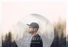 Freddie Joachim announces Beyond The Sea Of Trees album Freddie Joachim - Beyond The Sea Of Trees