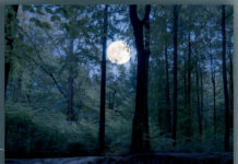 Jawn Stockton x Swoope – Serene Serene by Swoope and Jawn Stockton