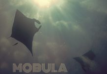 Soulseize – Mobula Mobula by Soulseize