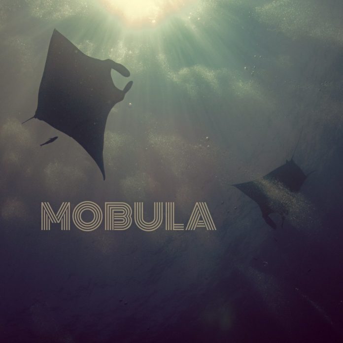 Mobula by Soulseize